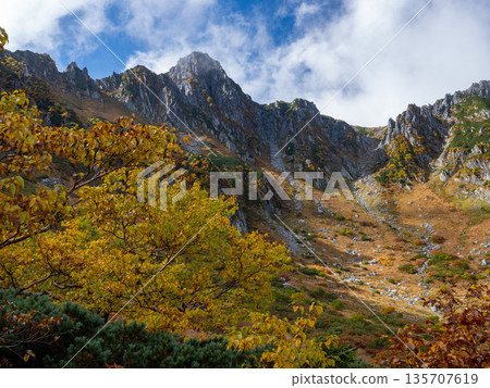 The Central Alps Ropeway bathed in autumn leaves 135707619
