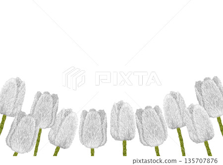 [White tulip frame] Hand-embroidered illustration material 135707876