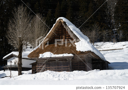 富山、五簇山和冰見的雪中合掌造房屋 富山、五簇山和冰見的雪中合掌造房屋 135707924