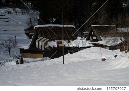 富山、五簇山和冰見的雪中合掌造房屋 富山、五簇山和冰見的雪中合掌造房屋 135707927