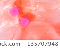 Two connected hearts 135707948