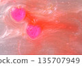 Two connected hearts 135707949