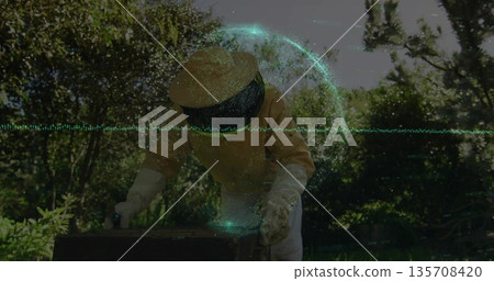 Inspecting hive box top senior beekeeper wearing veiled hat heavy gloves in backyard garden Inspecting hive box top senior beekeeper wearing veiled hat heavy gloves in backyard garden 135708420