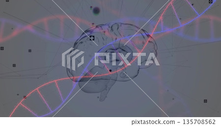 Floating semi-transparent 3D brain in digital space, with glowing DNA strands and network nodes 135708562