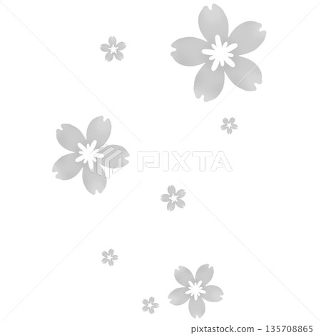 Gray illustration of many blooming cherry blossoms Gray illustration of many blooming cherry blossoms 135708865