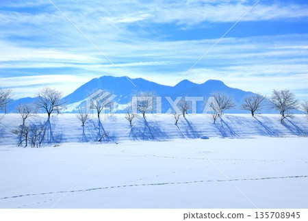 Winter scenery in Iiyama 135708945