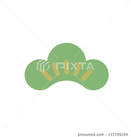 Pine illustration Pine illustration 135709284