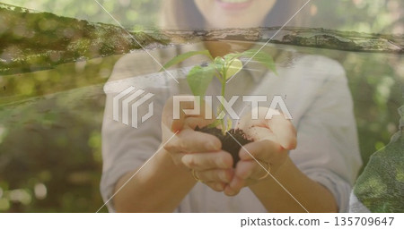 Middle-aged woman wearing long sleeves cradling green seedling with soil in sunlit garden, foliage Middle-aged woman wearing long sleeves cradling green seedling with soil in sunlit garden, foliage 135709647