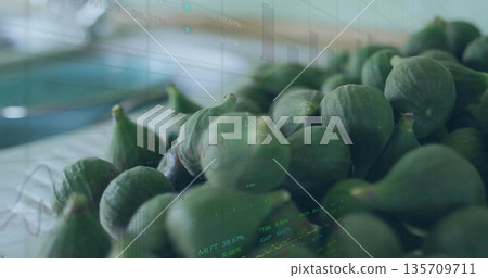 Showing cluster of green figs resting on cloth beside tray on countertop, with faint digital graphs Showing cluster of green figs resting on cloth beside tray on countertop, with faint digital graphs 135709711