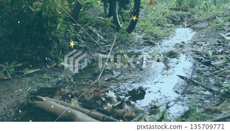 Revealing muddy dirt path featuring water puddle at forest edge, with bicycle wheel, star overlays Revealing muddy dirt path featuring water puddle at forest edge, with bicycle wheel, star overlays 135709771