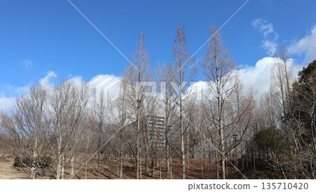 附近, 神戶市西區西新中央 135710420