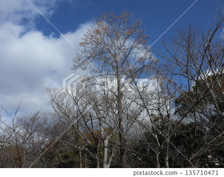 Nearby Nishishin Chuo, Nishi Ward, Kobe City Nearby Nishishin Chuo, Nishi Ward, Kobe City 135710471