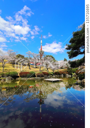 Cherry blossoms in full bloom at Hachimanyama Park and Utsunomiya Tower / Utsunomiya City, Tochigi Prefecture 135710895