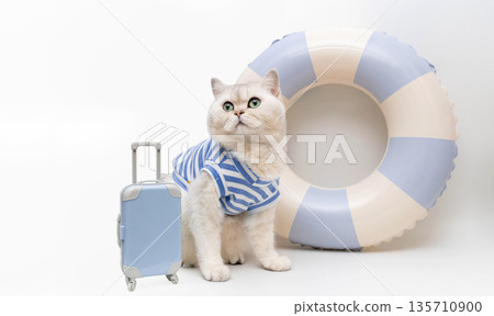 Adorable cat in striped shirt with suitcase and life preserver 135710900