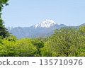 Azumino City, Nagano Prefecture - Mount Jonen with its remaining snow and blue sky seen through the fresh green trees 135710976