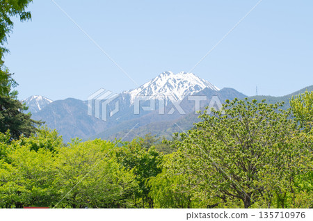 長野縣安曇野市－城念山殘雪皚皚，藍天透過翠綠的樹木映入眼簾。 135710976
