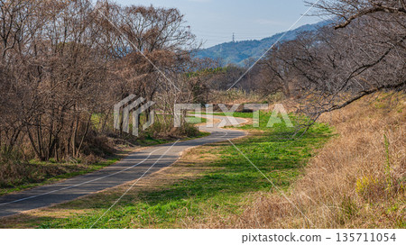 Winter scenery of the Kizugawa Riverbank, Yawata City, Kyoto Prefecture Winter scenery of the Kizugawa Riverbank, Yawata City, Kyoto Prefecture 135711054