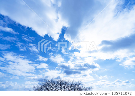 Winter sky, clouds and trees Winter sky, clouds and trees 135711072