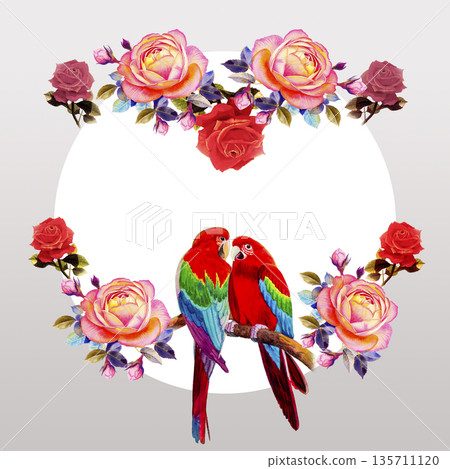 Painting  of roses flowers and  Macaw bird. 135711120