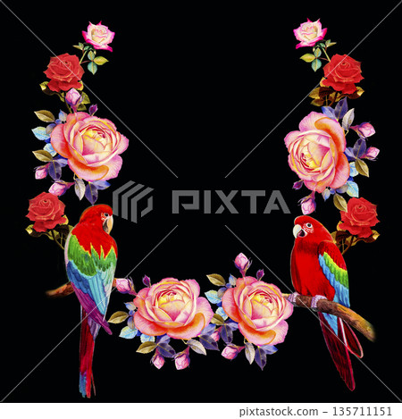 Painting of roses flowers and Macaw bird. Painting of roses flowers and Macaw bird. 135711151