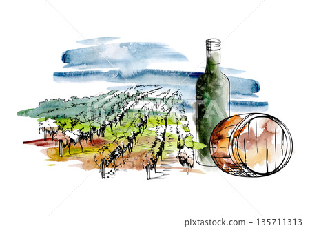 Watercolor vineyard landscape with stormy sky, ink rows of grapevines, wine bottle and wooden barrel closeup. Isolated illustration hand drawn for culinary branding, Mediterranean or California travel 135711313