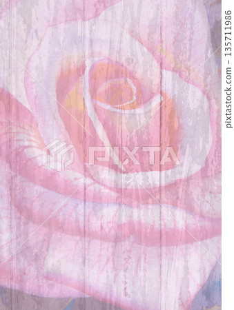 Painting art watercolor flower illustration pink color of rose. 135711986