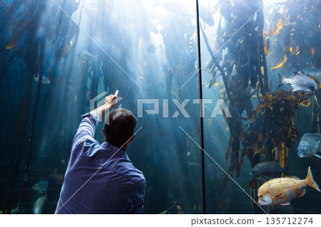 Man pointing at fish gathering among kelp inside aquarium exhibit under light beams, copy space 135712274