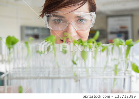 Female scientist peering over metal test tube rack with seedlings in lab wearing coat and goggles Female scientist peering over metal test tube rack with seedlings in lab wearing coat and goggles 135712389
