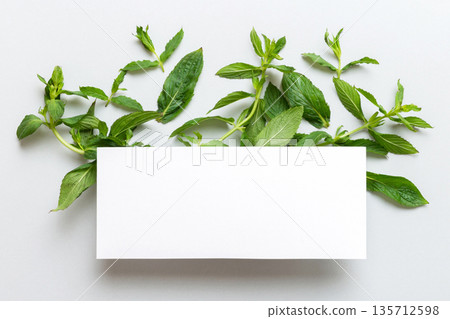 Wreath frame made of empty paper blank with space for text and mint leaves on colored background. . Mint Pattern. Flat lay. Top view Wreath frame made of empty paper blank with space for text and mint leaves on colored background. . Mint Pattern. Flat lay. Top view 135712598