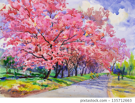 Painting watercolor landscape; pink color of Wild himalayan cherry. 135712663