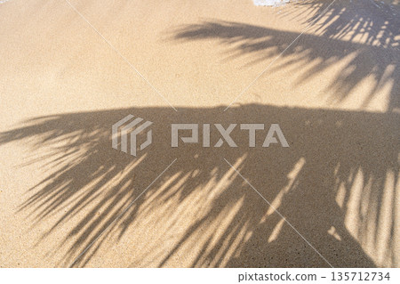 Palm tree shadow on Anaho Beach, Nuku Hiva, French Polynesia Palm tree shadow on Anaho Beach, Nuku Hiva, French Polynesia 135712734