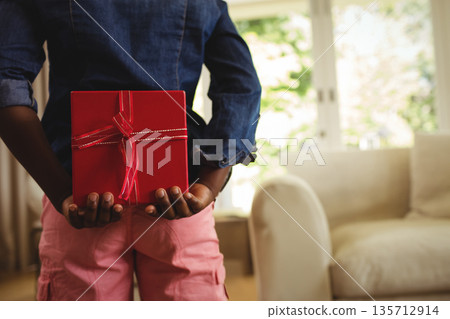 Boy holding red gift box behind back in living room near window showing green foliage 135712914
