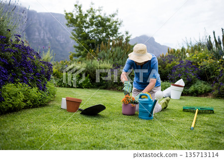 Senior female gardener kneeling in backyard garden repotting blooms into purple planter, copy space 135713114