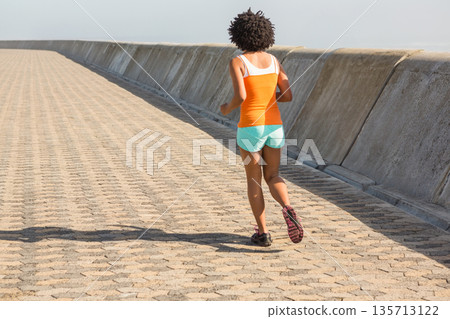 African American woman jogging along sea wall path wearing orange top and running shoes, copy space African American woman jogging along sea wall path wearing orange top and running shoes, copy space 135713122