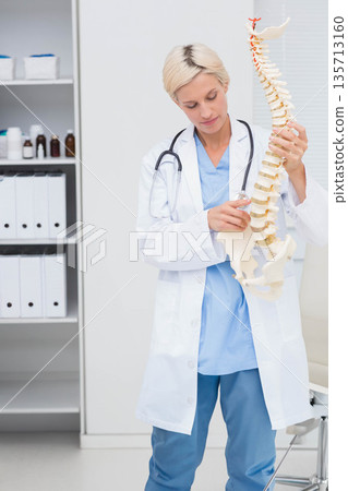 Female physician holding spine model in exam room wearing lab coat with stethoscope Female physician holding spine model in exam room wearing lab coat with stethoscope 135713160