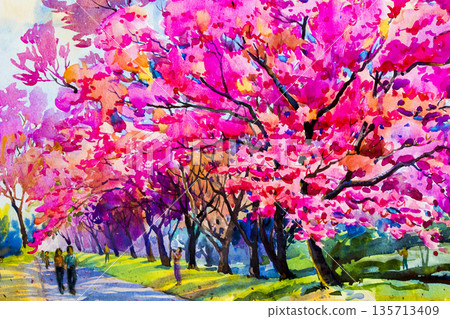 Watercolor painting original pink color flowers of  Wild himalayan cherry. 135713409