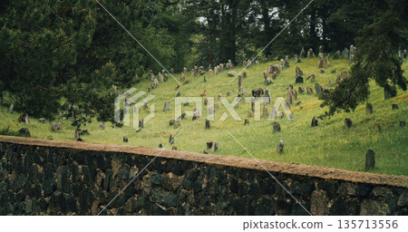 Old ancient Jewish cemetery in summer spring day. Druya, Belarus 135713556