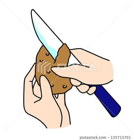 Illustration of peeling potatoes with a knife | Cooking and cooking process 135713701