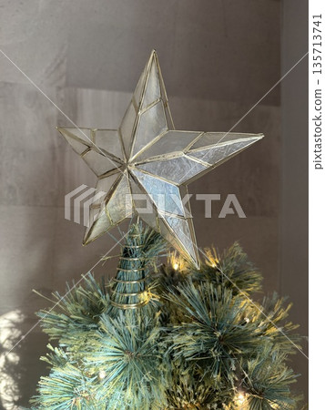 Christmas tree  135713741