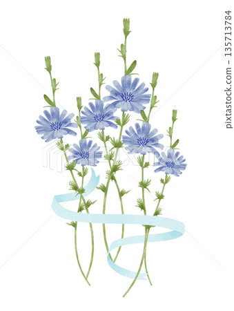 Cornflower Chicory Bouquet with Ribbon 135713784