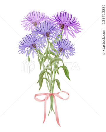 Cornflower and Aster Bouquet Watercolor Cornflower and Aster Bouquet Watercolor 135713822