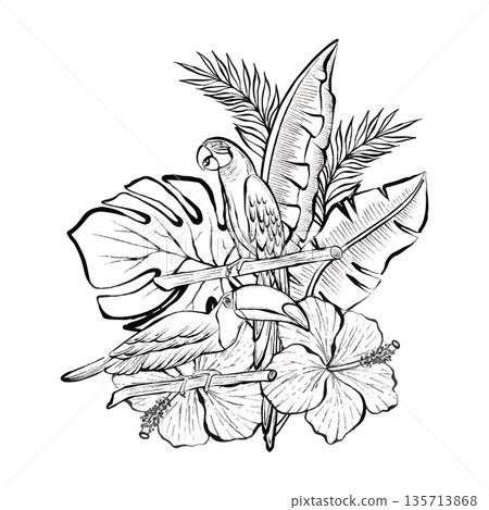 Tropical Parrot Flowers Vector Line Illustration Tropical Parrot Flowers Vector Line Illustration 135713868