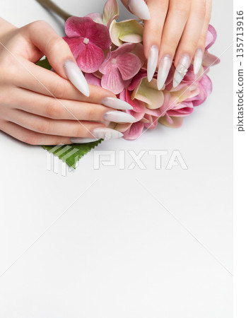 Woman's hands holding pink hydrangea with elegant manicure 135713916