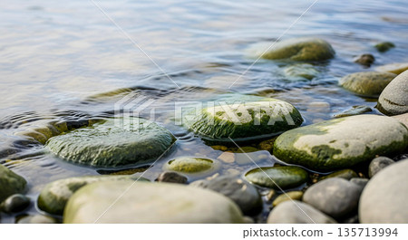 Riverbed with Wet Stone 135713994