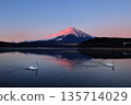 Mount Fuji and swans seen from Lake Yamanaka in the early morning 135714029