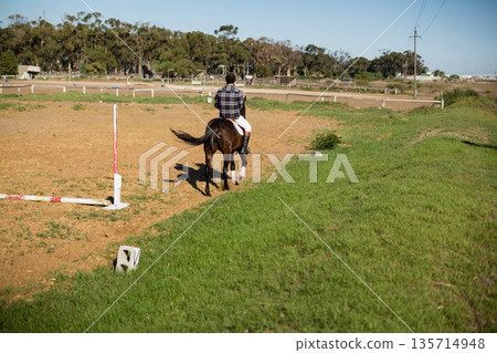 Male equestrian rider wearing protective helmet guiding bay horse circling arena with jump poles 135714948