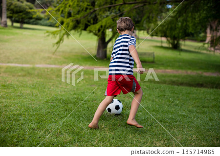 Black-and-white soccer ball rolling across sunny park lawn near wooden bench under tree branches 135714985