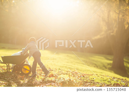 Female child pushing green wheelbarrow carrying white cloth across park field under warm sunlight 135715048