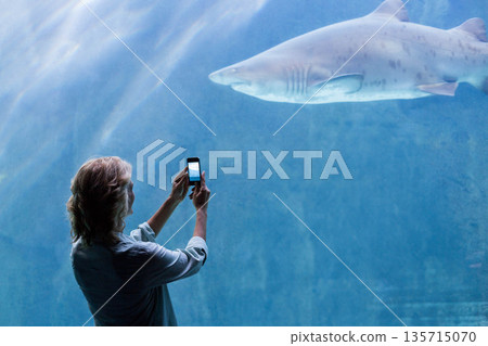 Adult female visitor photographing shark through blue-lit tank glass holding smartphone at aquarium 135715070