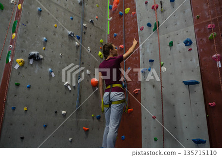 Adult woman standing in climbing gym wearing harness and inspecting color-coded holds with ropes Adult woman standing in climbing gym wearing harness and inspecting color-coded holds with ropes 135715110